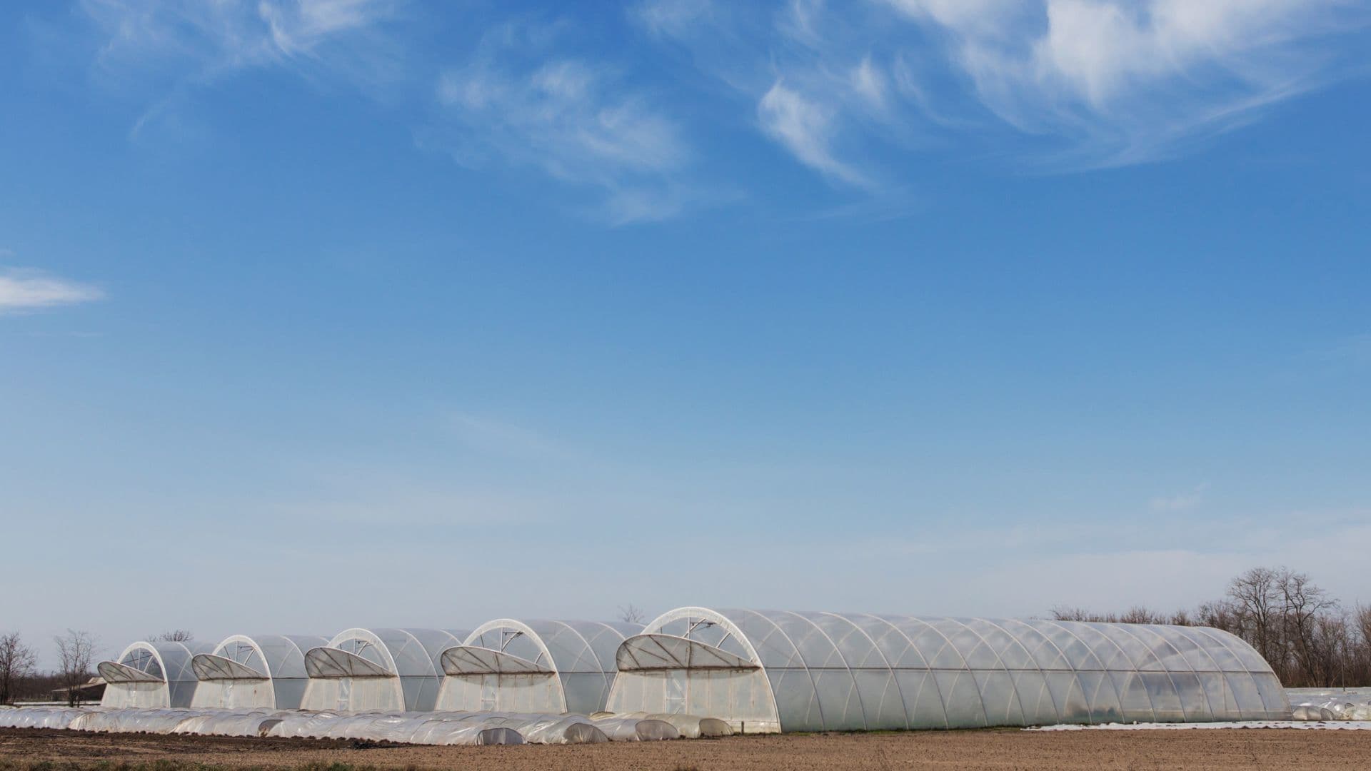 Fotografía de invernaderos durante en día